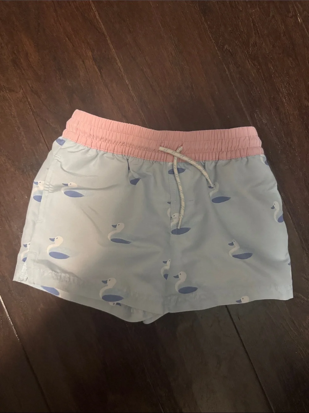 The Beaufort Bonnet Company Light Blue Swim Trunks with Pink Waistband